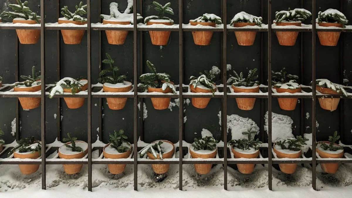 Proteger las macetas y plantas del frío en invierno