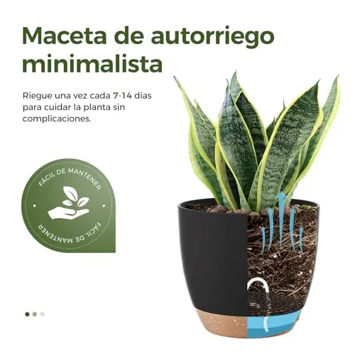 Bamworld Macetas Autorriego de Interior, Pack de 6 Tamaños (13-20cm) foto 2