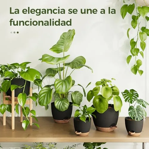 Bamworld Macetas Autorriego de Interior, Pack de 6 Tamaños (13-20cm) foto 4