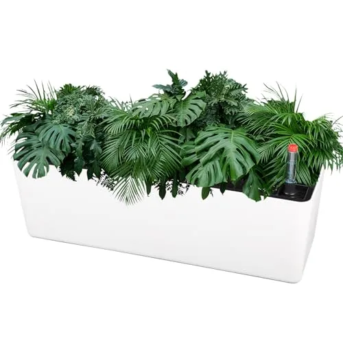 CPROSP Jardinera Rectangular Autorriego 40cm con Indicador de Nivel