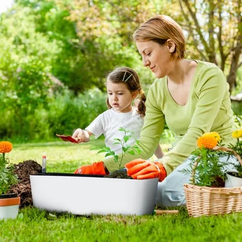 CPROSP Jardinera Rectangular Autorriego 40cm con Indicador de Nivel foto 3