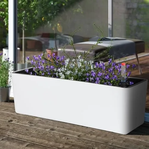 CPROSP Jardinera Rectangular Autorriego 40cm con Indicador de Nivel foto 4
