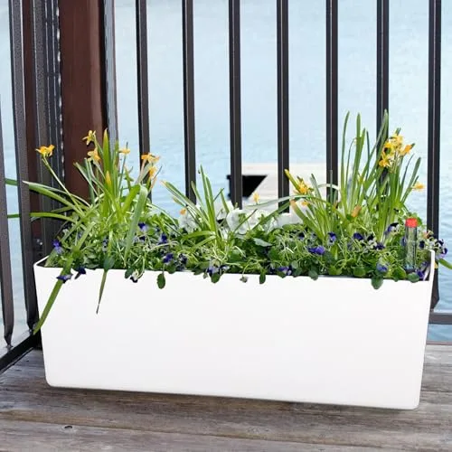 CPROSP Jardinera Rectangular Autorriego 40cm con Indicador de Nivel foto 5