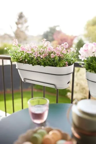 Elho Vibia Campana Trough allin1 50cm, Jardinera con Depósito y Plato Integrado foto 5