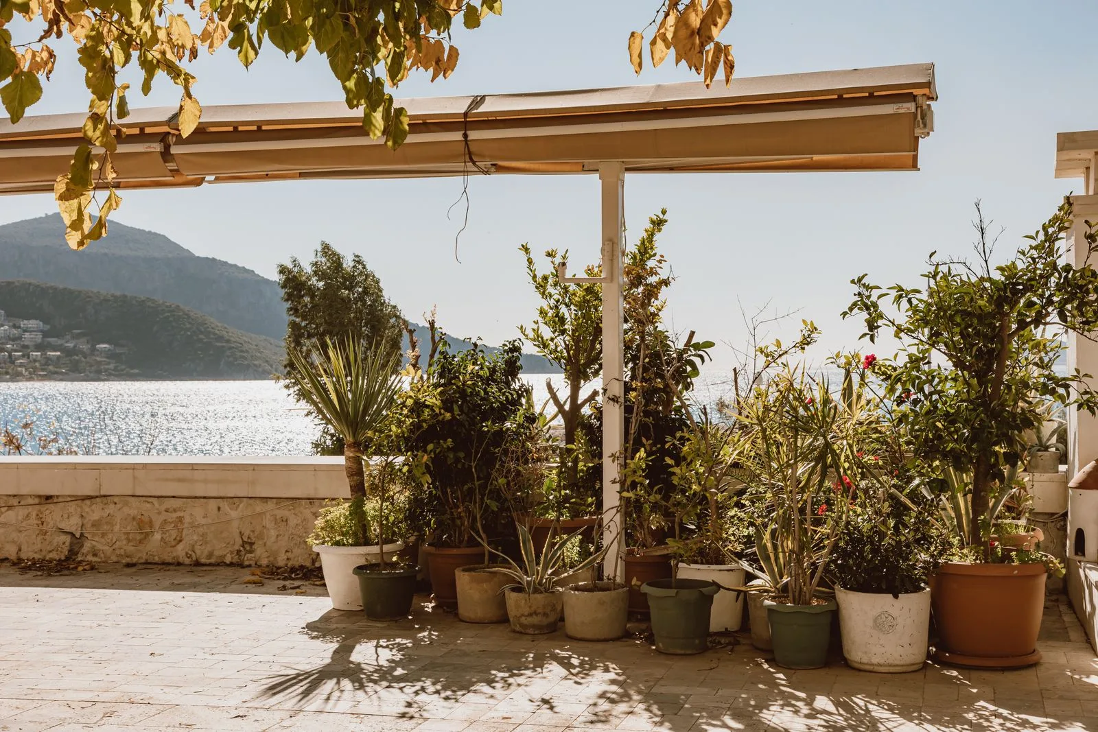 Terraza con pérgola y macetas junto al mar