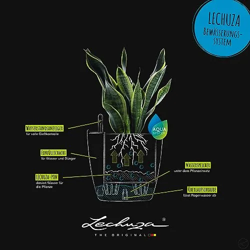 Lechuza Classico Color, Plantador de Riego Automático con Sustrato Incluido foto 4