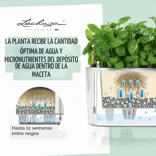 Lechuza Deltini Premium 10, Maceta Compacta con Sistema de Riego foto 4