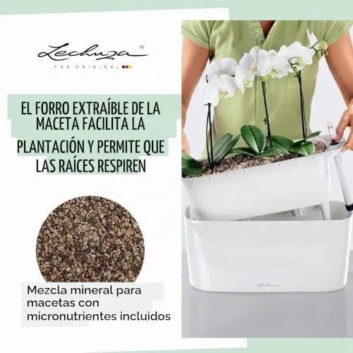 Lechuza Deltini Premium 10, Maceta Compacta con Sistema de Riego foto 5