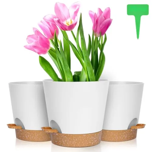 OFFCUP Maceteros de Riego Automático 20cm, Pack de 3, con Plato