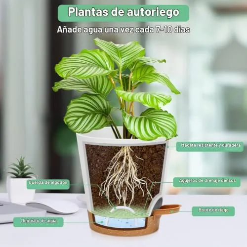 OFFCUP Maceteros de Riego Automático 20cm, Pack de 3, con Plato foto 2
