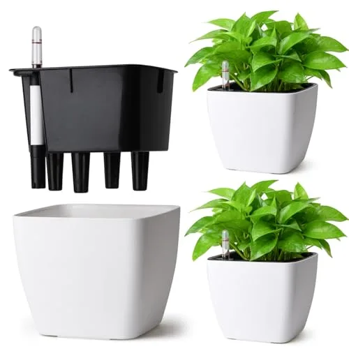 T4u Maceta de Autorriego Cuadrada 13cm, Pack de 3, con Indicador